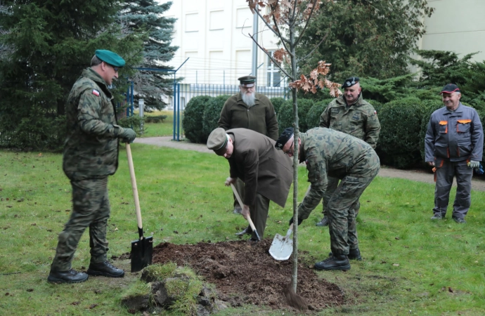 Dęby z mazurskich żołędzi zasadzono przed dowództwem polskiej armii.