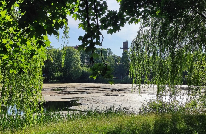 {Ruszają prace mające na celu oczyścić Jezioro Długie z nadmiaru moczarki.}